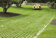 Bảng báo giá mẫu gạch trồng cỏ bê tông đẹp giá rẻ bình dương 2022