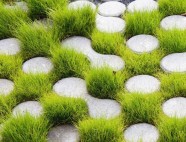 Các bước thi công trồng cỏ trên gạch bê tông giá rẻ