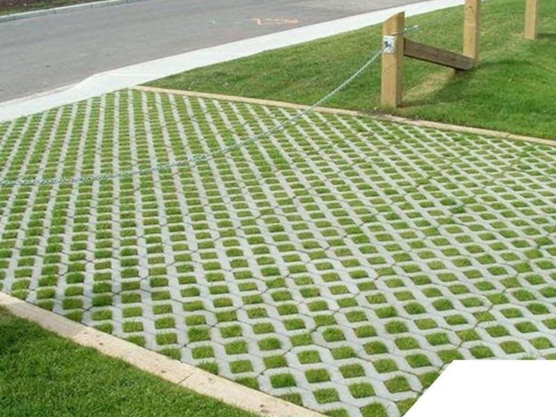 gạch trồng cỏ 8 lỗ lót sân